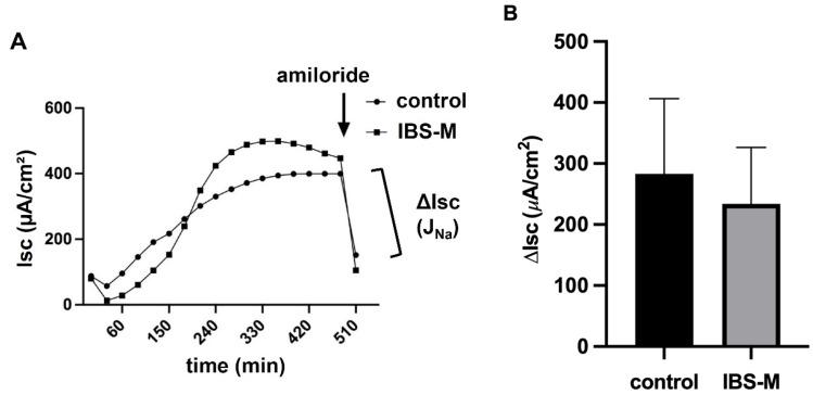https://cdn.ncbi.nlm.nih.gov/pmc/blobs/f4f7/9856377/ab6d3978c01c/cells-12-00236-g002.jpg