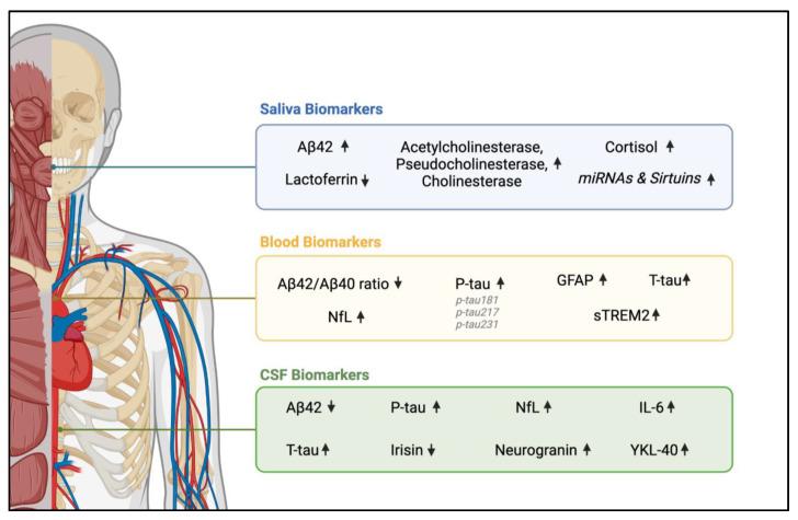 https://cdn.ncbi.nlm.nih.gov/pmc/blobs/f4ff/11593284/e3fbe0c70101/cells-13-01901-g001.jpg
