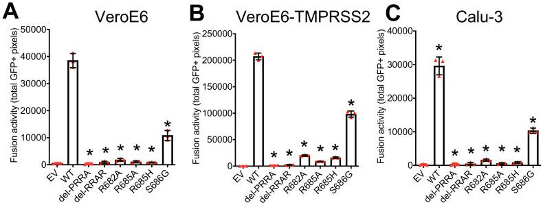 https://cdn.ncbi.nlm.nih.gov/pmc/blobs/f50d/8131099/b70c9d2f677c/elife-66815-fig4.jpg