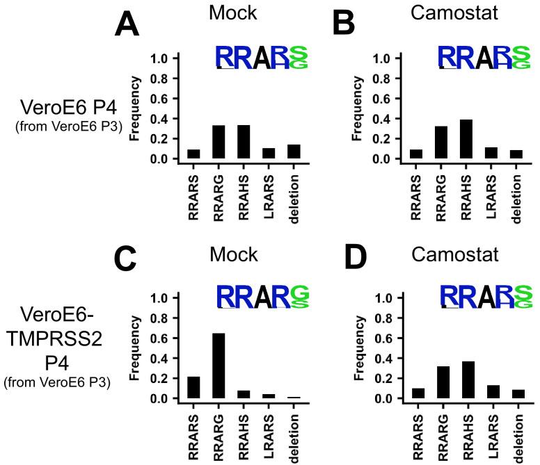 https://cdn.ncbi.nlm.nih.gov/pmc/blobs/f50d/8131099/cadf6b869a58/elife-66815-fig6.jpg