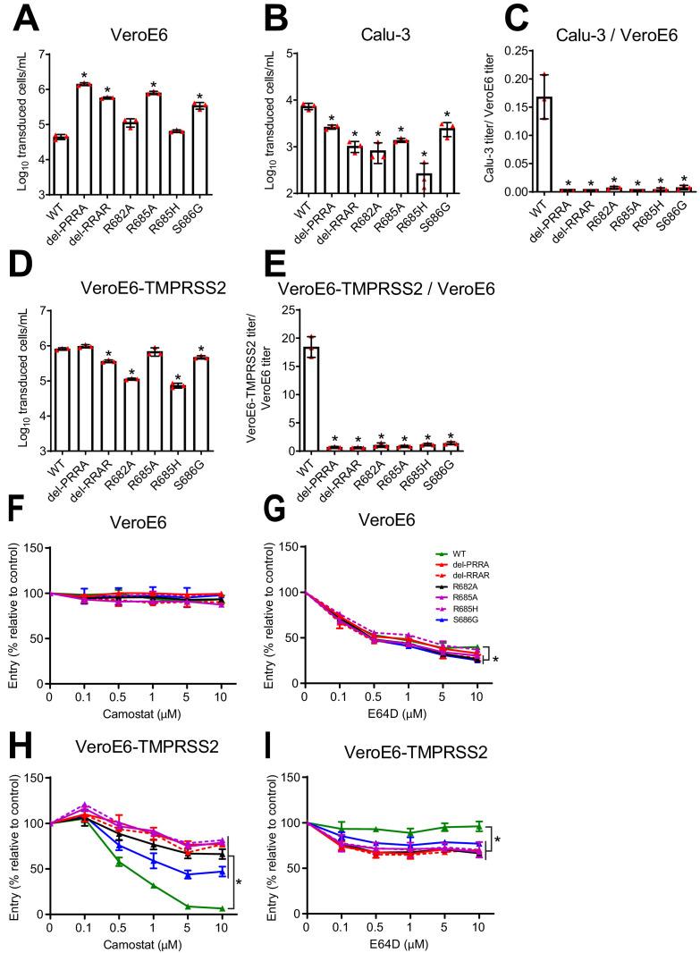https://cdn.ncbi.nlm.nih.gov/pmc/blobs/f50d/8131099/ff7983bcd653/elife-66815-fig3.jpg