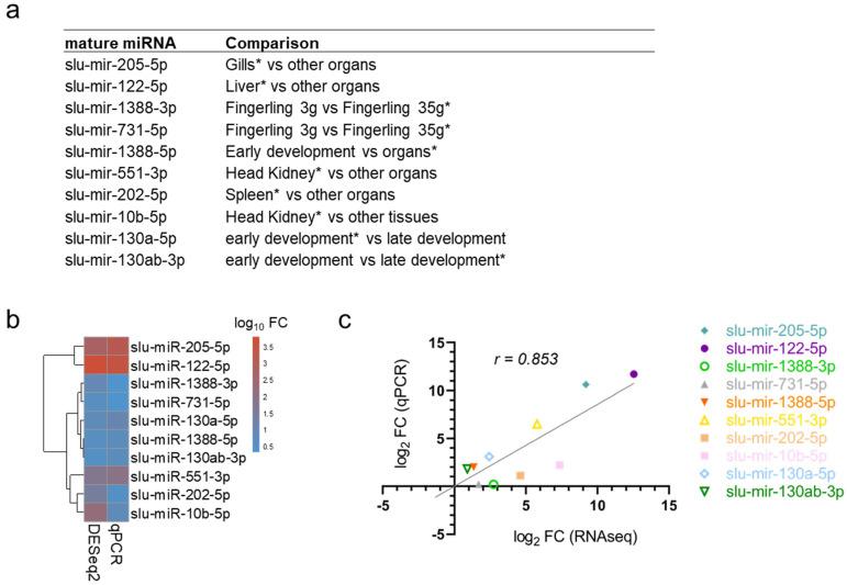 https://cdn.ncbi.nlm.nih.gov/pmc/blobs/f51c/10778745/3577ad723b47/ijms-25-00189-g004.jpg