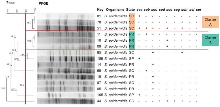 https://cdn.ncbi.nlm.nih.gov/pmc/blobs/f532/4848630/c49502207c82/toxins-08-00104-g004.jpg