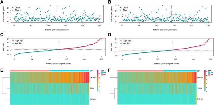 https://cdn.ncbi.nlm.nih.gov/pmc/blobs/f53c/9846547/8ac8ced51169/fgene-13-972950-g005.jpg