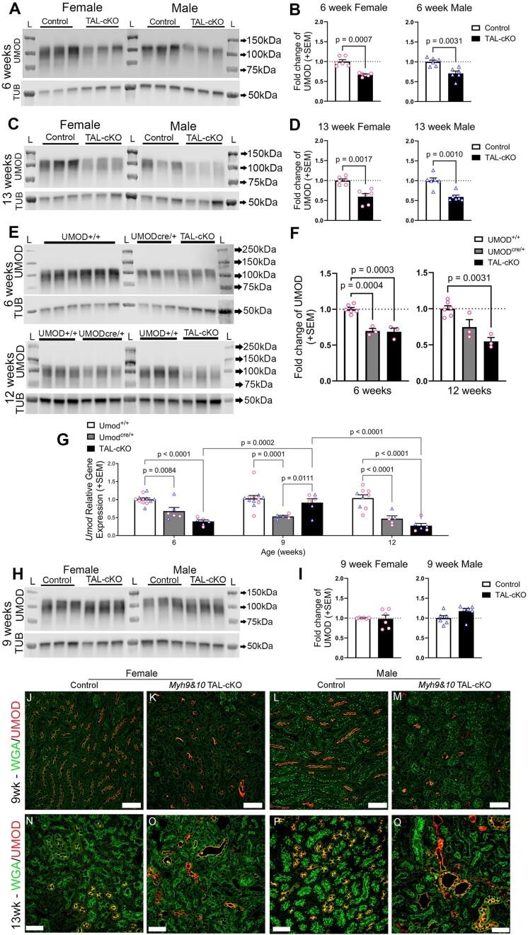 https://cdn.ncbi.nlm.nih.gov/pmc/blobs/f54f/11815580/bff28f1271e5/zqae048fig3.jpg