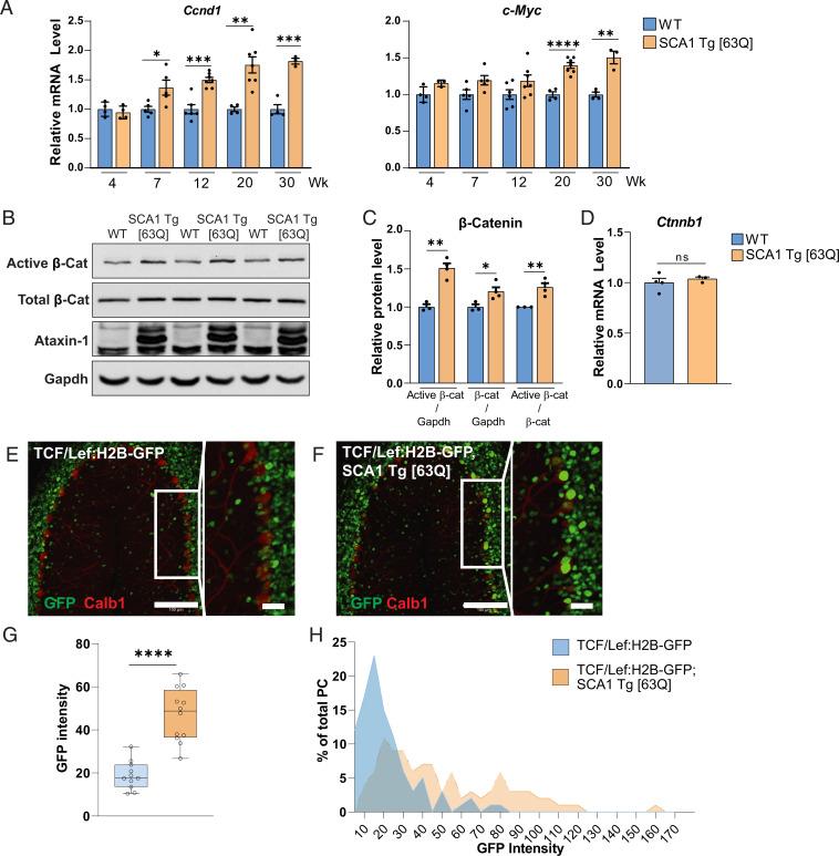 https://cdn.ncbi.nlm.nih.gov/pmc/blobs/f557/9407543/04dcedd66f7e/pnas.2208513119fig03.jpg