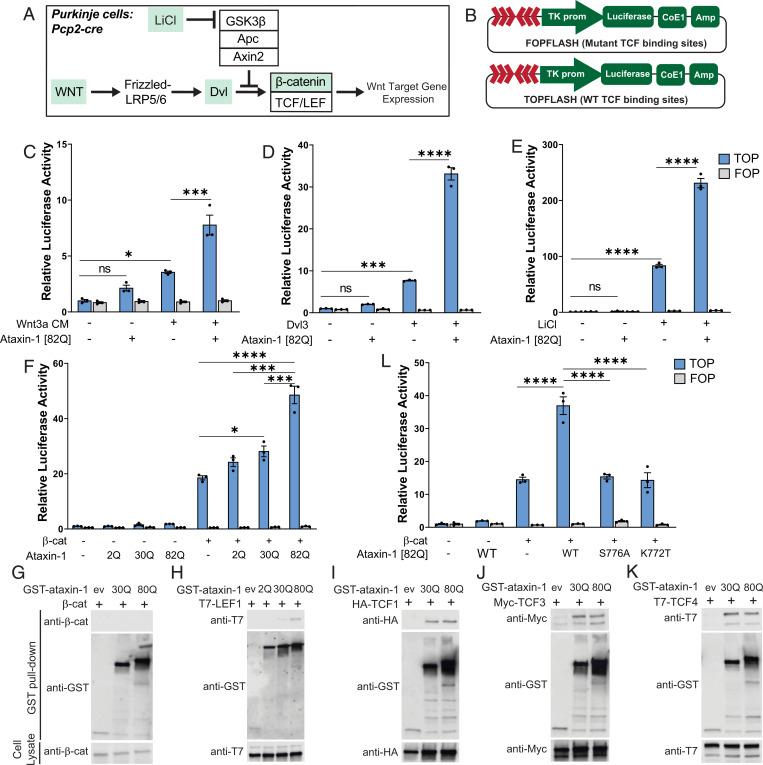 https://cdn.ncbi.nlm.nih.gov/pmc/blobs/f557/9407543/818717977872/pnas.2208513119fig02.jpg