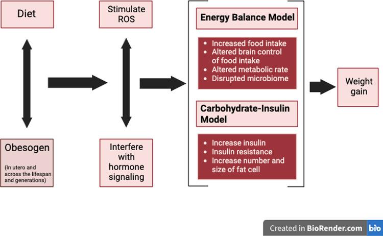 https://cdn.ncbi.nlm.nih.gov/pmc/blobs/f56a/10978495/d7acf3c6b376/41366_2024_1460_Fig6_HTML.jpg