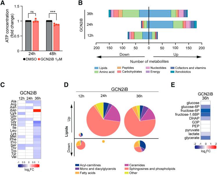 https://cdn.ncbi.nlm.nih.gov/pmc/blobs/f574/11876863/8cd858b31801/LSA-2024-03014_Fig5.jpg