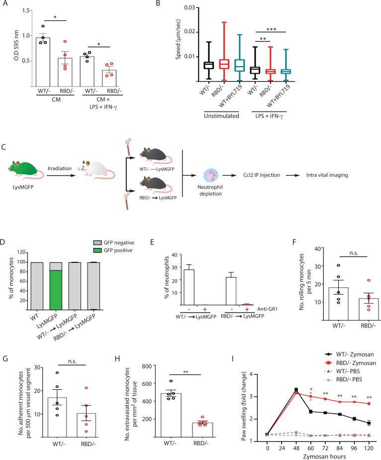 https://cdn.ncbi.nlm.nih.gov/pmc/blobs/f578/12021417/06a34a2998d4/elife-94590-fig3.jpg