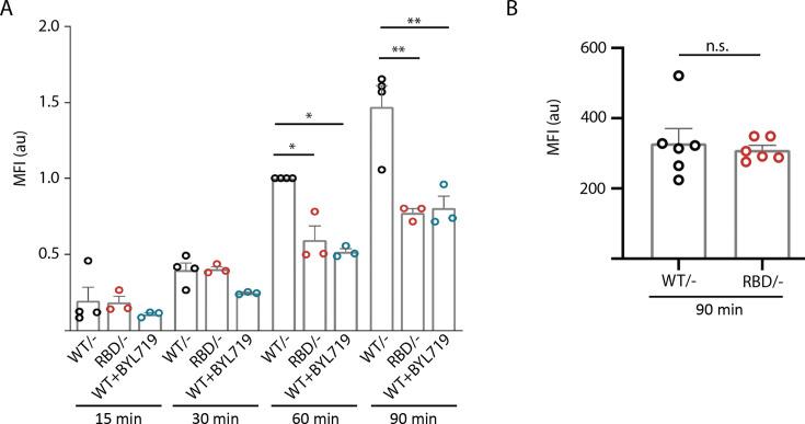 https://cdn.ncbi.nlm.nih.gov/pmc/blobs/f578/12021417/2cac73079781/elife-94590-fig4-figsupp1.jpg