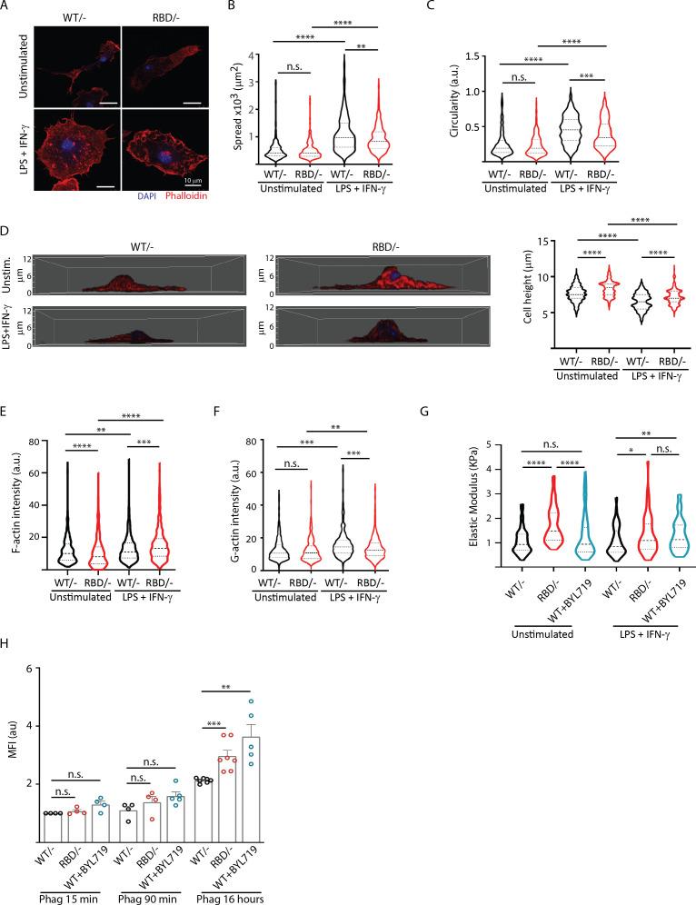 https://cdn.ncbi.nlm.nih.gov/pmc/blobs/f578/12021417/de55669a5ef7/elife-94590-fig4.jpg
