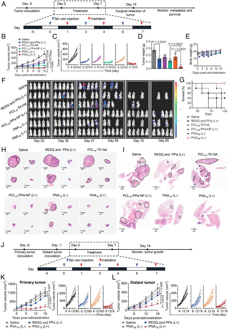 https://cdn.ncbi.nlm.nih.gov/pmc/blobs/f581/9974508/64708b34bf4a/pnas.2210385120fig04.jpg