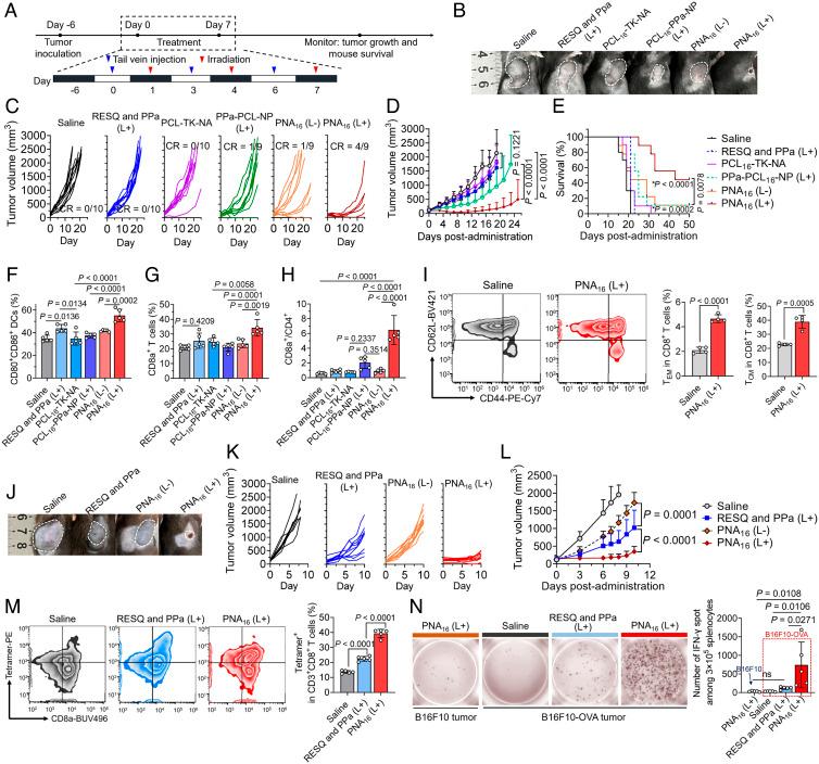 https://cdn.ncbi.nlm.nih.gov/pmc/blobs/f581/9974508/926997c801a6/pnas.2210385120fig06.jpg