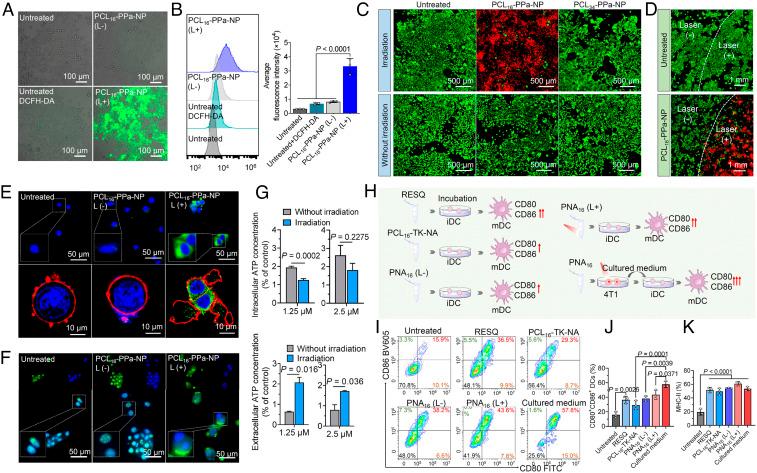 https://cdn.ncbi.nlm.nih.gov/pmc/blobs/f581/9974508/9c2b42c2f39e/pnas.2210385120fig03.jpg