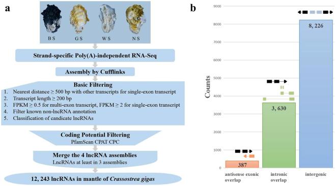 https://cdn.ncbi.nlm.nih.gov/pmc/blobs/f586/5780484/fd301ae081e0/41598_2018_19950_Fig1_HTML.jpg