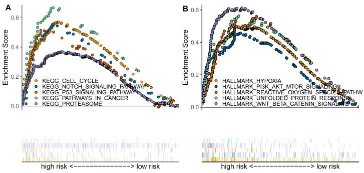 https://cdn.ncbi.nlm.nih.gov/pmc/blobs/f5b7/12422256/b305f7cb234e/peerj-13-19920-g004.jpg
