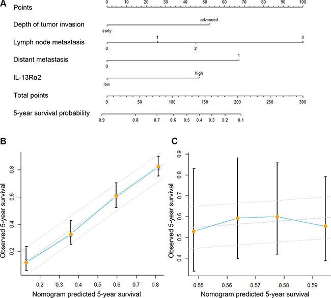 https://cdn.ncbi.nlm.nih.gov/pmc/blobs/f5b8/5226507/cf7a2794f838/oncotarget-07-49281-g003.jpg