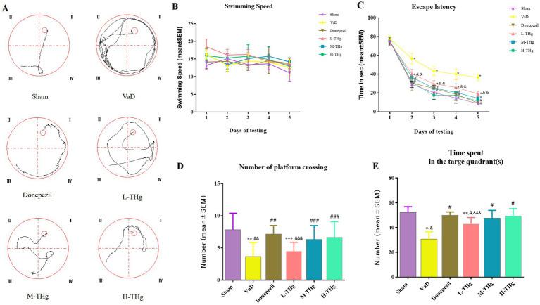 https://cdn.ncbi.nlm.nih.gov/pmc/blobs/f5b9/11968393/795a1997b547/fneur-16-1555411-g006.jpg