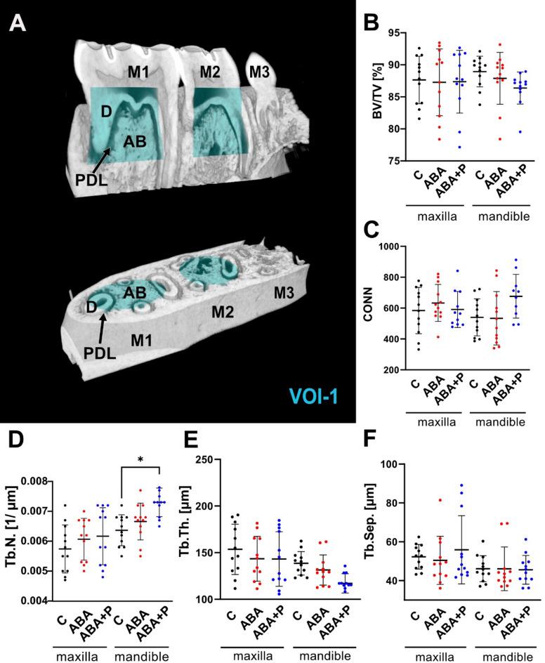 https://cdn.ncbi.nlm.nih.gov/pmc/blobs/f5c4/12130194/c594b3cb2c10/41598_2025_2610_Fig2_HTML.jpg