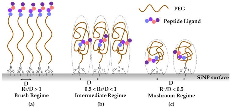 https://cdn.ncbi.nlm.nih.gov/pmc/blobs/f5ce/7828255/33cf2aac1145/nanomaterials-11-00177-g004.jpg