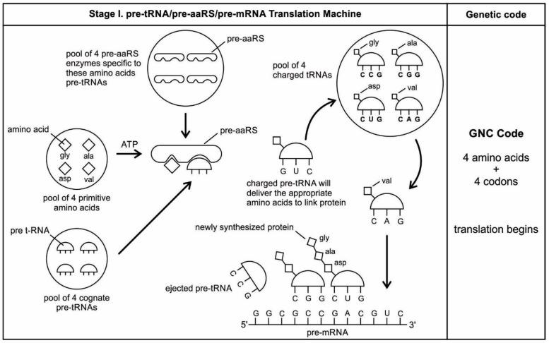 https://cdn.ncbi.nlm.nih.gov/pmc/blobs/f5da/6463137/1b2ea3c8db03/life-09-00025-g015.jpg