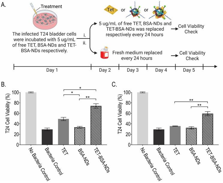 https://cdn.ncbi.nlm.nih.gov/pmc/blobs/f5ed/12093853/5d0e570695d3/12951_2025_3459_Fig4_HTML.jpg