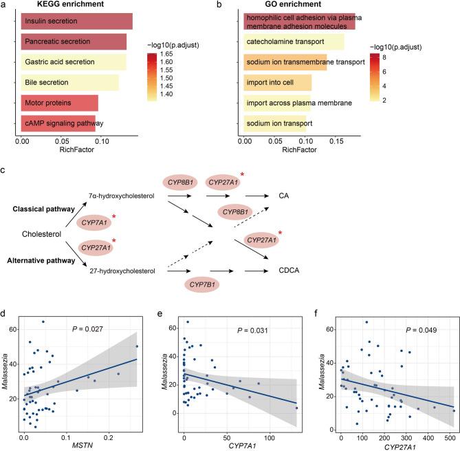 https://cdn.ncbi.nlm.nih.gov/pmc/blobs/f5f3/12041395/3961d002319e/41598_2025_99973_Fig3_HTML.jpg