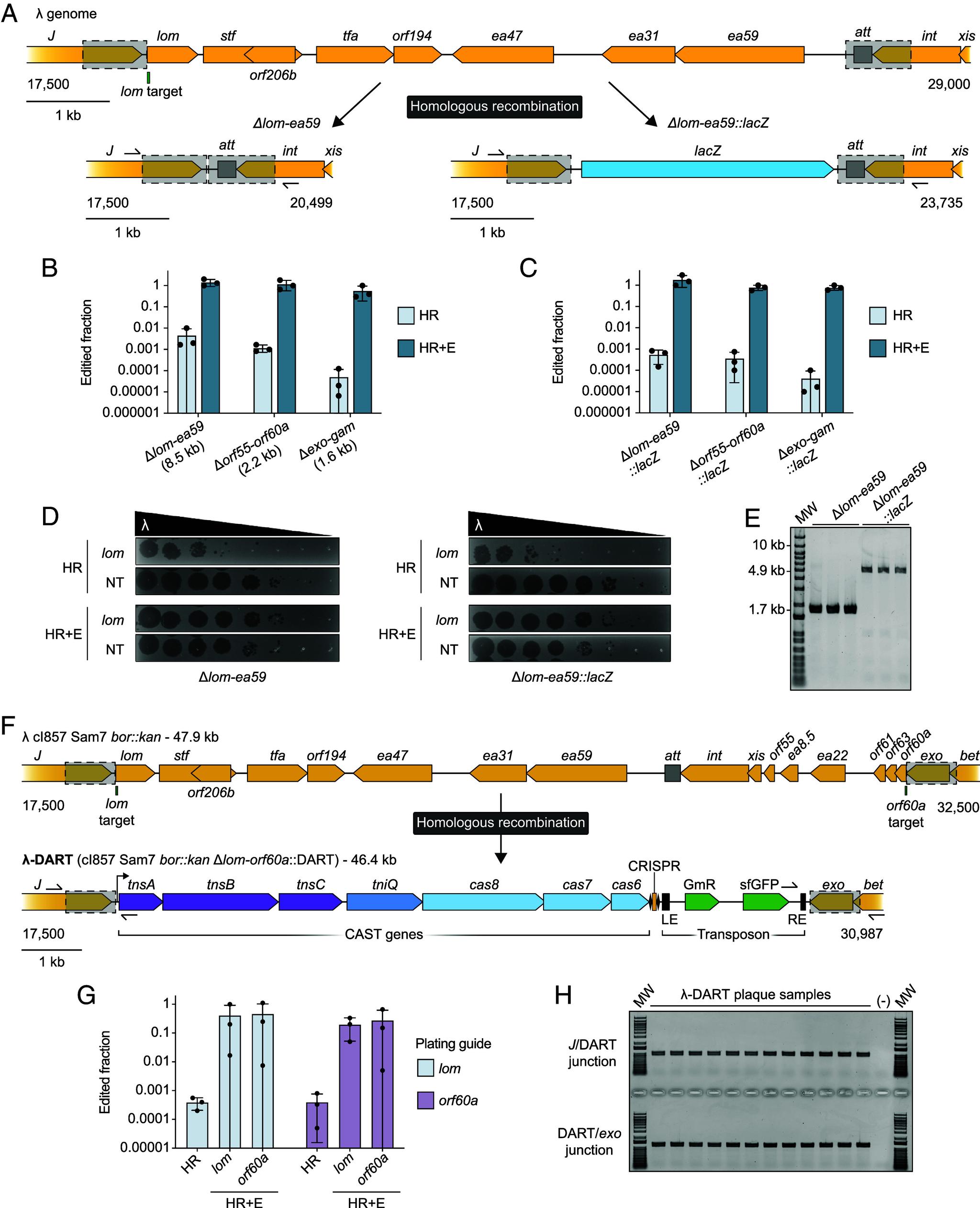 https://cdn.ncbi.nlm.nih.gov/pmc/blobs/f5fa/12318184/045adb56203c/pnas.2504853122fig02.jpg