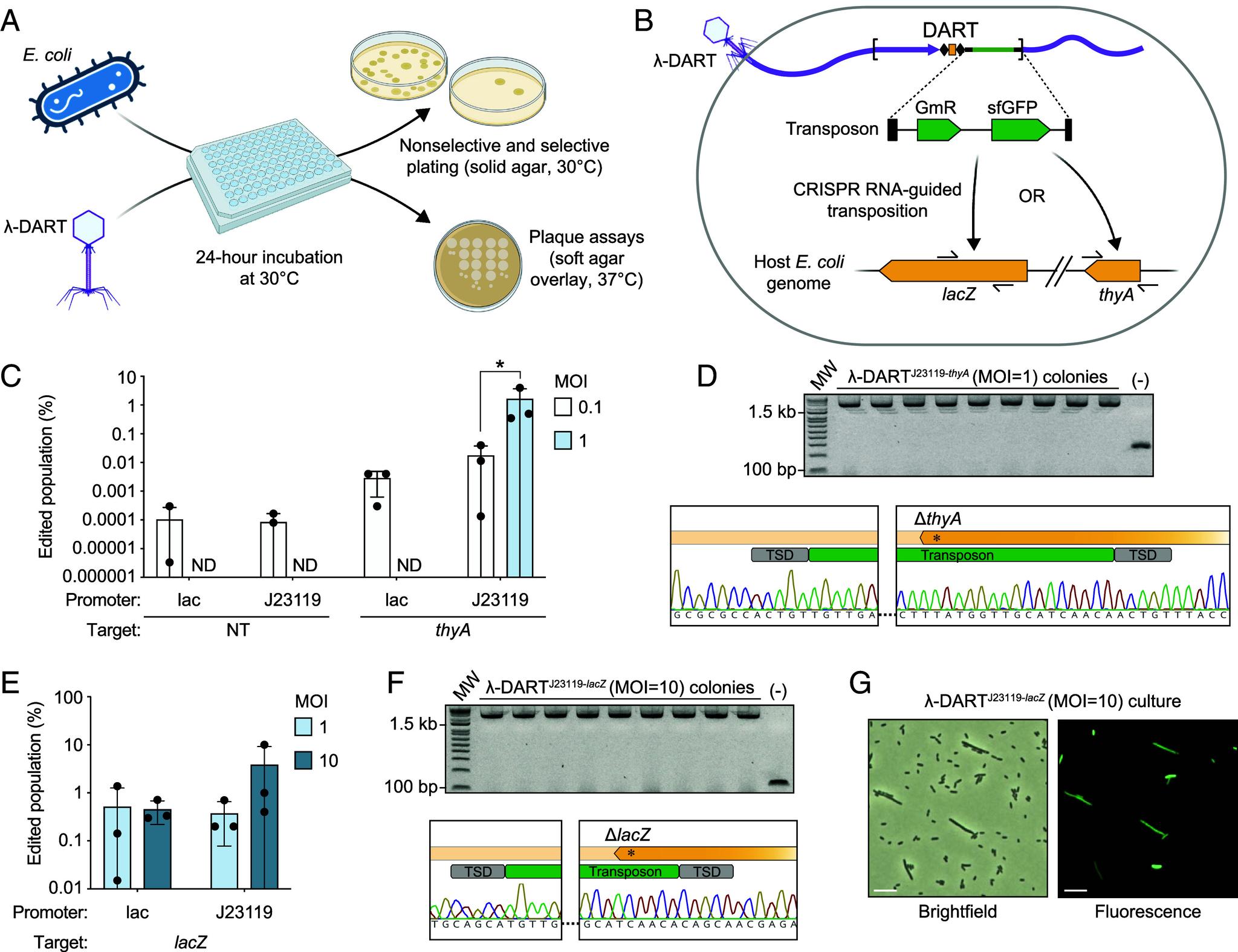 https://cdn.ncbi.nlm.nih.gov/pmc/blobs/f5fa/12318184/95e9107382ef/pnas.2504853122fig03.jpg