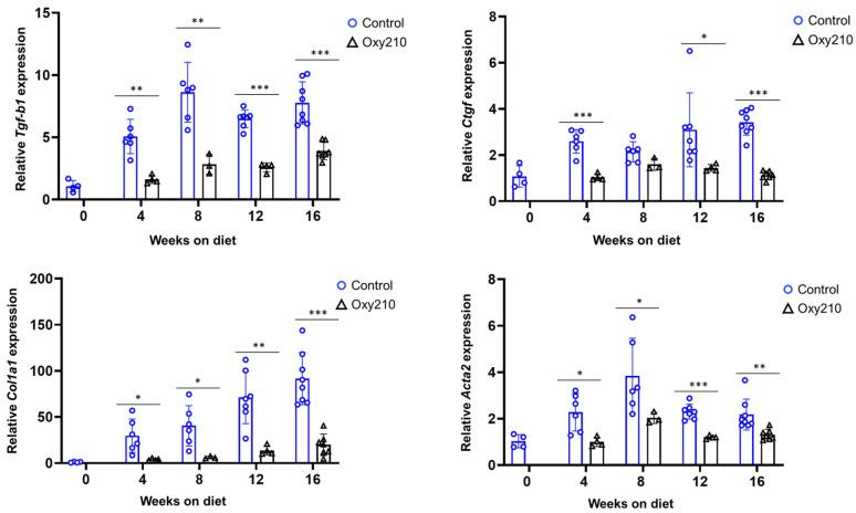 https://cdn.ncbi.nlm.nih.gov/pmc/blobs/f61e/12346697/7ee91692185d/cells-14-01191-g004.jpg