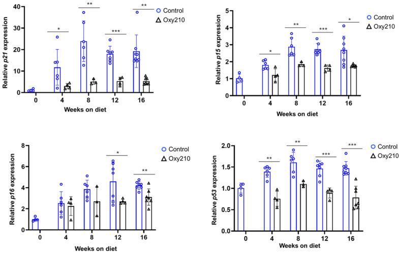 https://cdn.ncbi.nlm.nih.gov/pmc/blobs/f61e/12346697/d2f803c5c623/cells-14-01191-g001.jpg