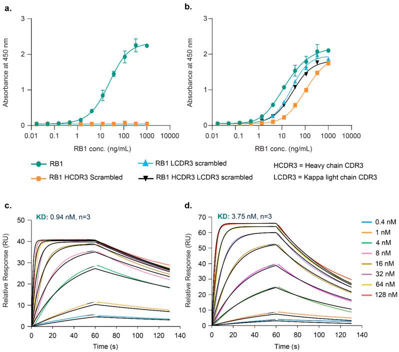 https://cdn.ncbi.nlm.nih.gov/pmc/blobs/f624/11768756/34c1bfced3d6/vaccines-13-00035-g002.jpg