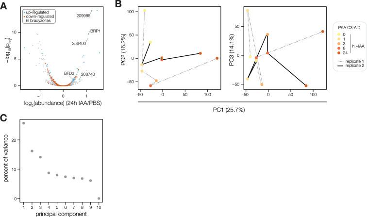 https://cdn.ncbi.nlm.nih.gov/pmc/blobs/f62b/11321763/04aede5e87fa/elife-93877-fig7-figsupp1.jpg