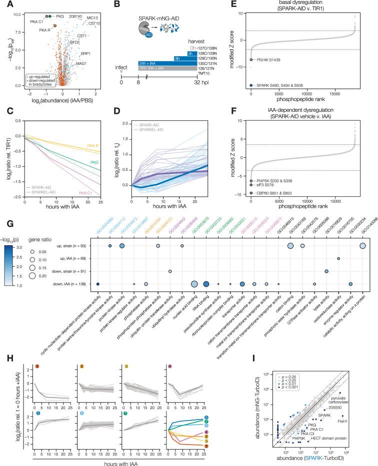https://cdn.ncbi.nlm.nih.gov/pmc/blobs/f62b/11321763/939874fa56ed/elife-93877-fig3.jpg