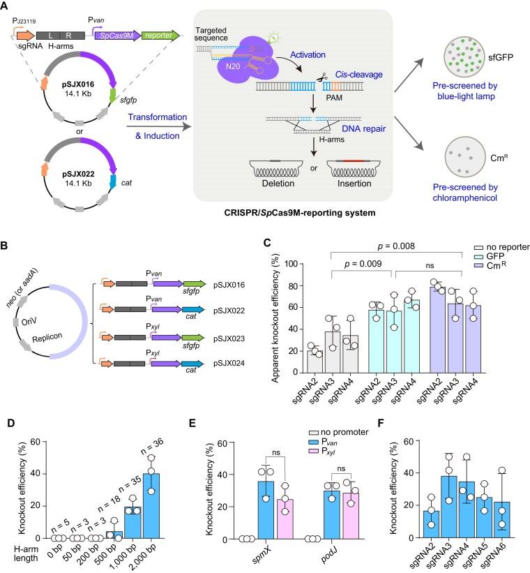 https://cdn.ncbi.nlm.nih.gov/pmc/blobs/f62c/12038397/2943b73f07dd/gkaf353fig2.jpg