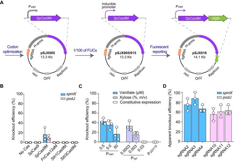 https://cdn.ncbi.nlm.nih.gov/pmc/blobs/f62c/12038397/c72db9177e13/gkaf353fig1.jpg