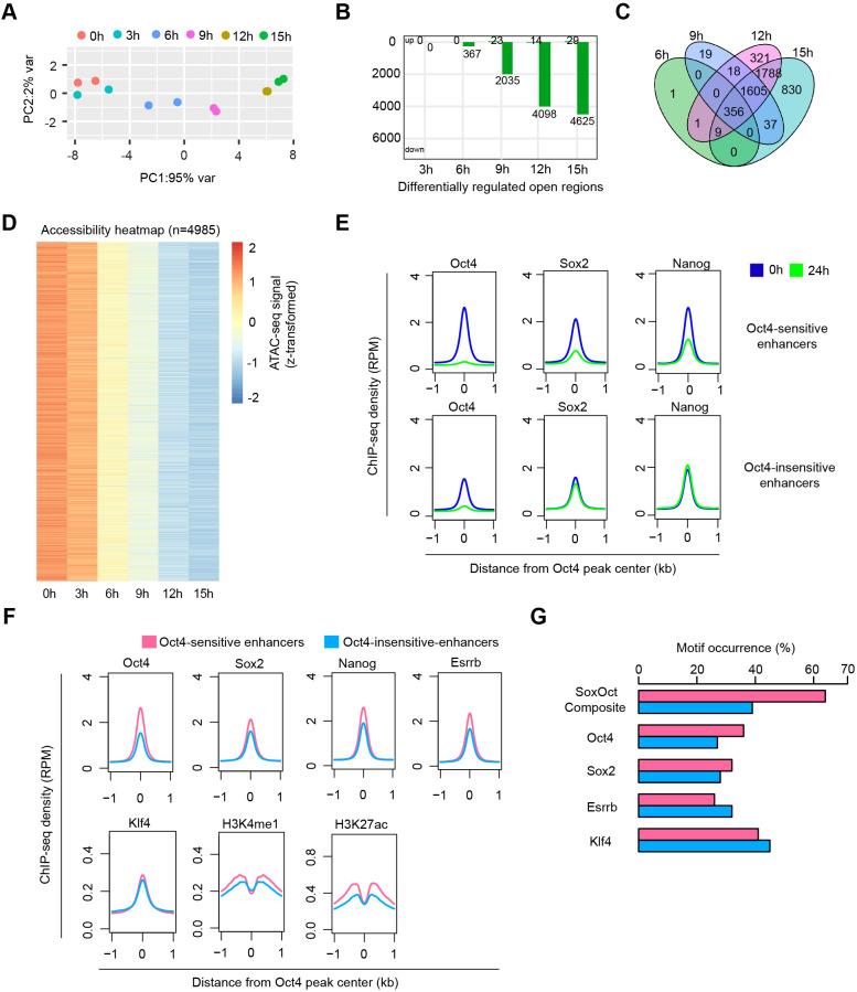 https://cdn.ncbi.nlm.nih.gov/pmc/blobs/f630/9142147/00cb74350632/elife-71533-fig7-figsupp1.jpg