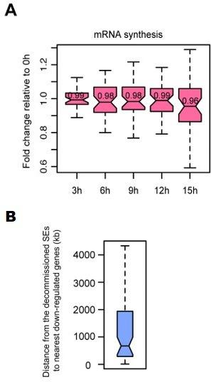https://cdn.ncbi.nlm.nih.gov/pmc/blobs/f630/9142147/12710cec23d7/elife-71533-sa2-fig4.jpg