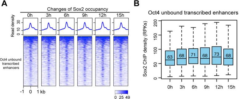 https://cdn.ncbi.nlm.nih.gov/pmc/blobs/f630/9142147/15382f0abb46/elife-71533-fig6-figsupp3.jpg