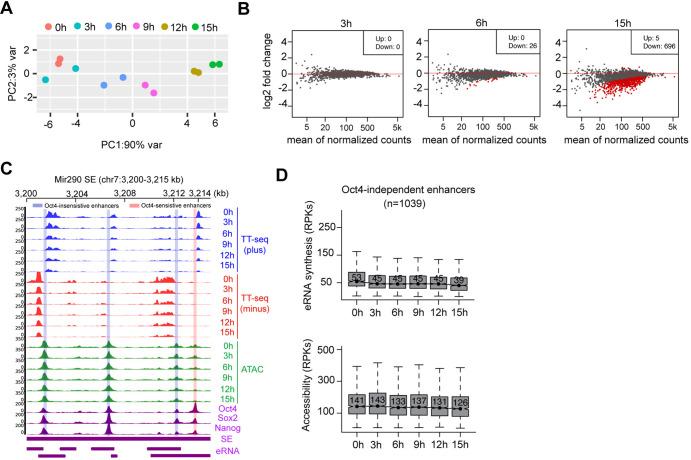 https://cdn.ncbi.nlm.nih.gov/pmc/blobs/f630/9142147/2c436c840363/elife-71533-fig5-figsupp1.jpg