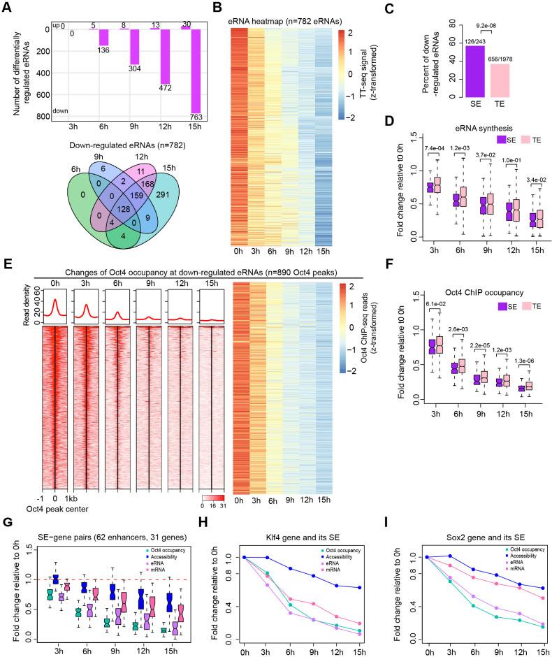 https://cdn.ncbi.nlm.nih.gov/pmc/blobs/f630/9142147/60930cf88a5f/elife-71533-fig4.jpg