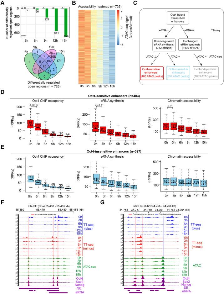 https://cdn.ncbi.nlm.nih.gov/pmc/blobs/f630/9142147/782c4f8c1a8b/elife-71533-fig5.jpg