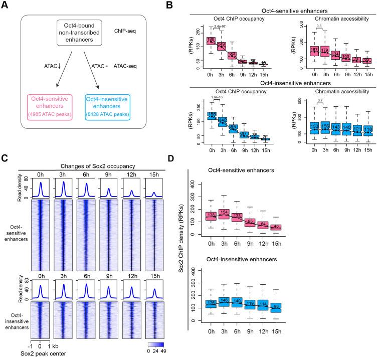 https://cdn.ncbi.nlm.nih.gov/pmc/blobs/f630/9142147/7cc788f0ed31/elife-71533-fig7.jpg