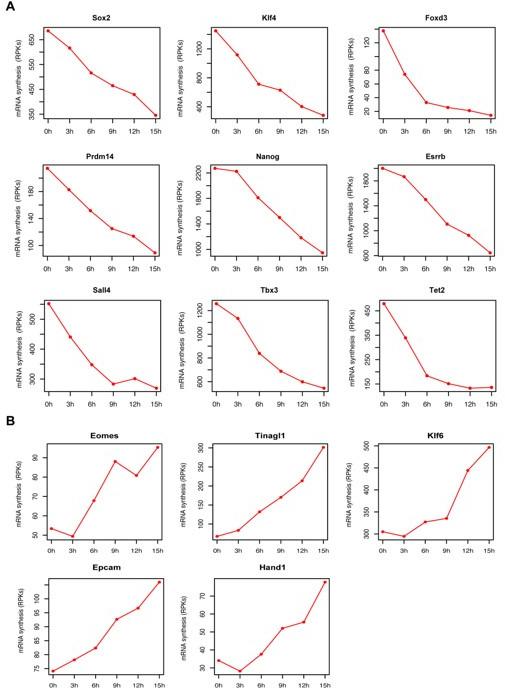 https://cdn.ncbi.nlm.nih.gov/pmc/blobs/f630/9142147/bac13932fbae/elife-71533-sa2-fig2.jpg
