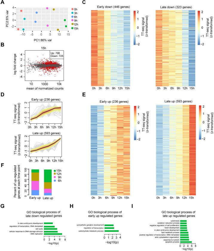 https://cdn.ncbi.nlm.nih.gov/pmc/blobs/f630/9142147/c41a951bf2c8/elife-71533-fig2-figsupp1.jpg