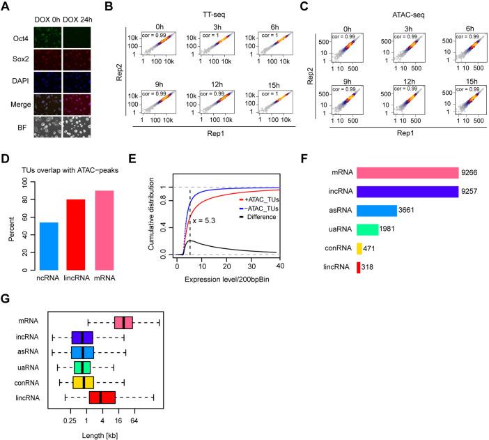 https://cdn.ncbi.nlm.nih.gov/pmc/blobs/f630/9142147/e5beaf4a7a3d/elife-71533-fig1-figsupp1.jpg