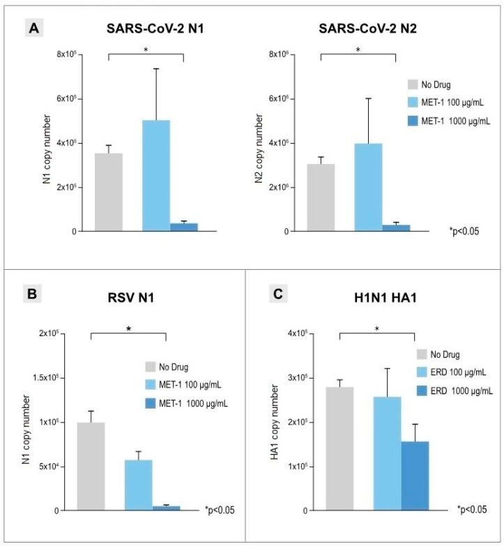 https://cdn.ncbi.nlm.nih.gov/pmc/blobs/f636/12030430/5c9e6eb20094/pathogens-14-00388-g002.jpg