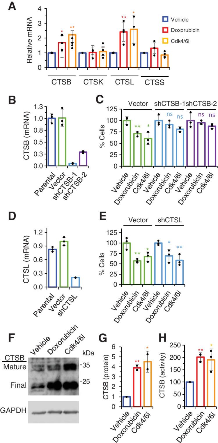 https://cdn.ncbi.nlm.nih.gov/pmc/blobs/f646/9755966/0f9d9c536927/4670fig4.jpg