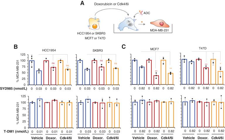 https://cdn.ncbi.nlm.nih.gov/pmc/blobs/f646/9755966/710ced6164d2/4670fig3.jpg